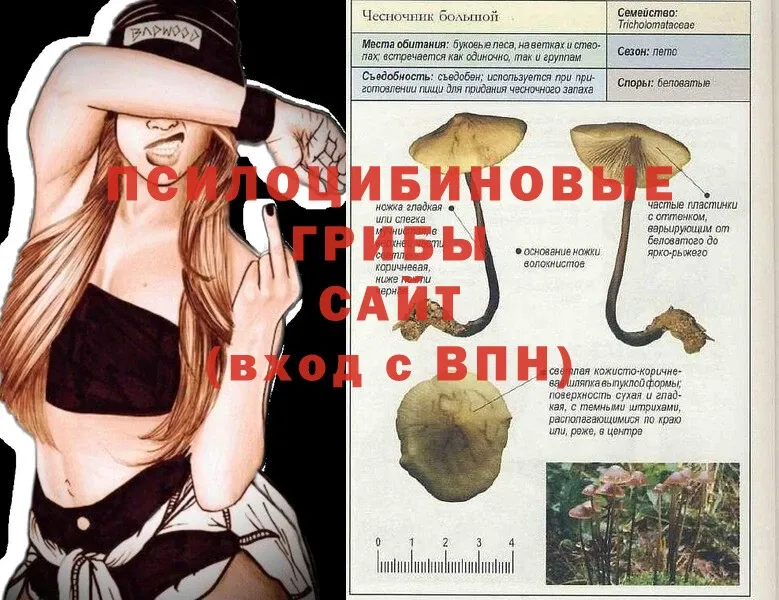 закладка  Рославль  ссылка на мегу ССЫЛКА  Галлюциногенные грибы Psilocybe 